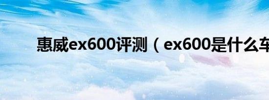 惠威ex600评测（ex600是什么车）