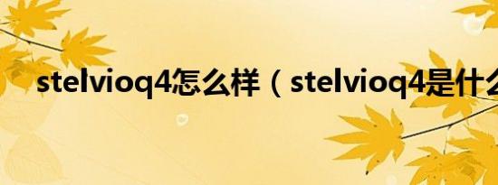 stelvioq4怎么样（stelvioq4是什么车）