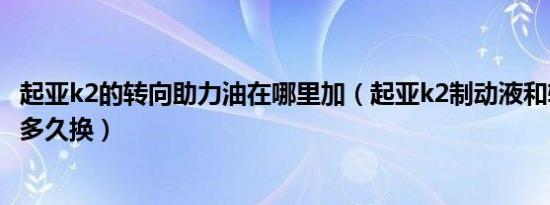 起亚k2的转向助力油在哪里加（起亚k2制动液和转向助力液多久换）