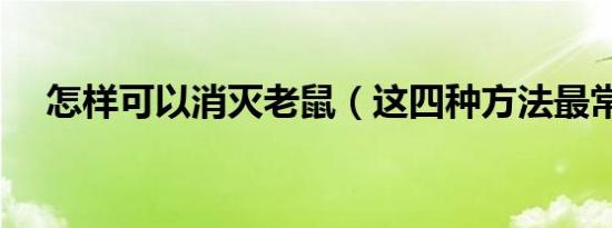 怎样可以消灭老鼠（这四种方法最常用）