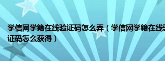 学信网学籍在线验证码怎么弄（学信网学籍在线验证报告验证码怎么获得）