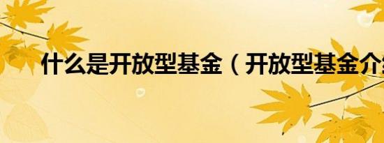 什么是开放型基金（开放型基金介绍）