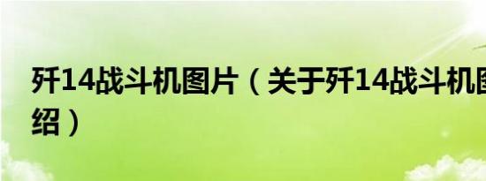 歼14战斗机图片（关于歼14战斗机图片的介绍）